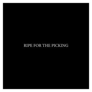 Ripe for the Picking – MercyMagnet